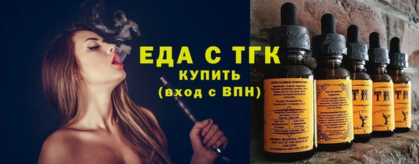 крисы Магас