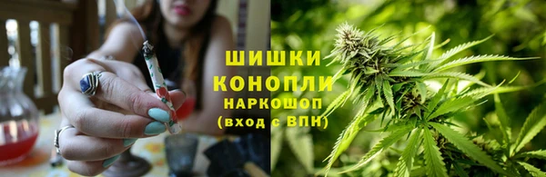 крисы Магас