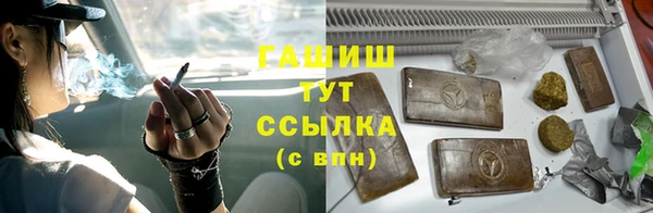 крисы Магас