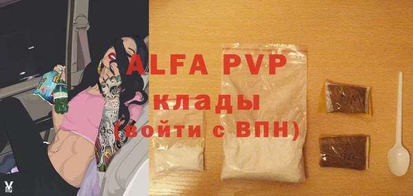 крисы Магас