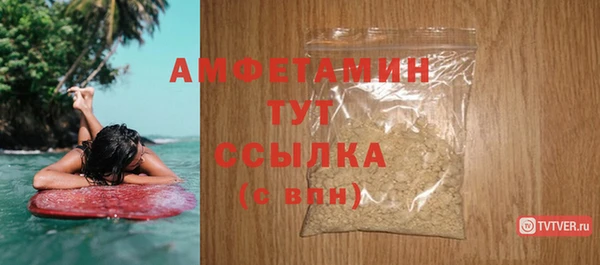 крисы Магас